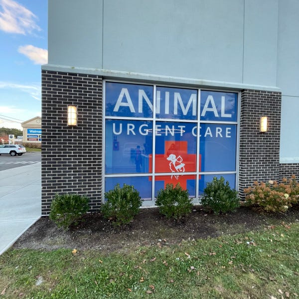 Wareham Animal Hospital Window Perf