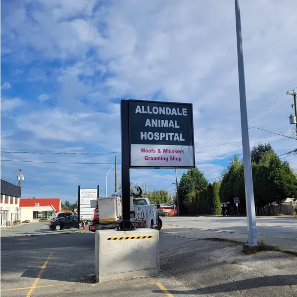 Pylon Sign "Alondale Animal Hospital"