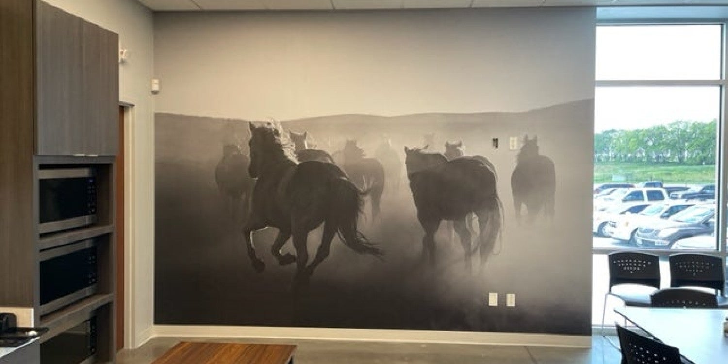 Wallpaper & Murals