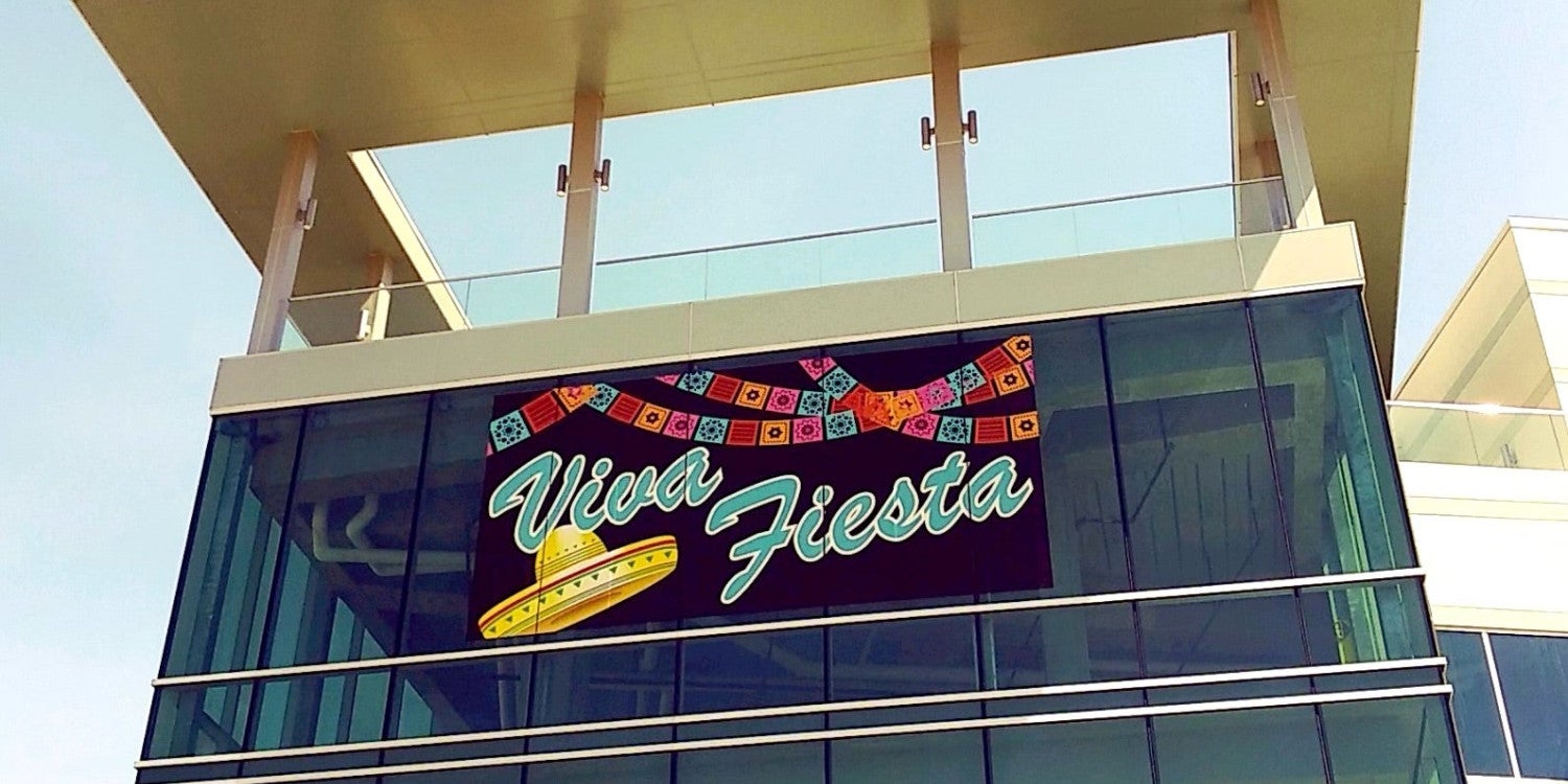 Window Signs & Signage