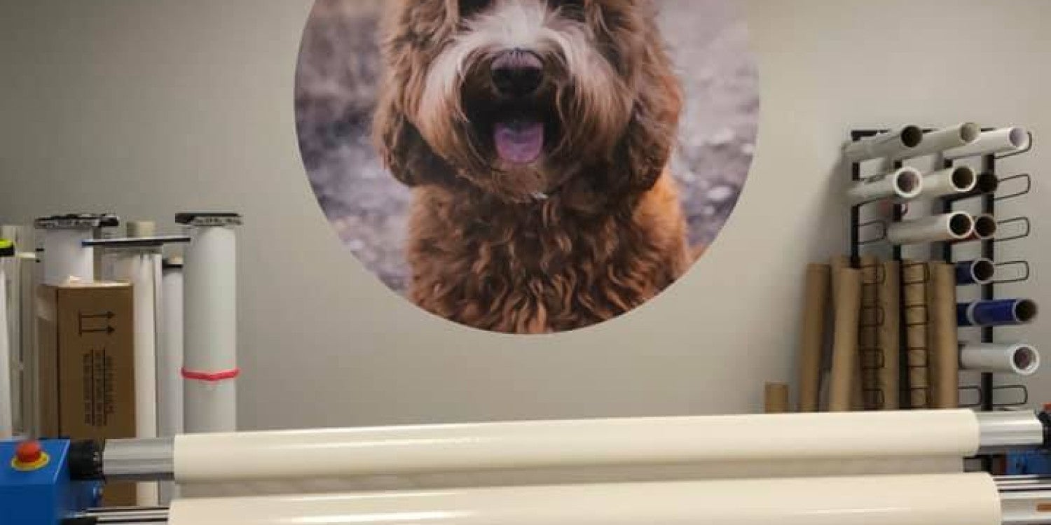 Custom Wall Murals