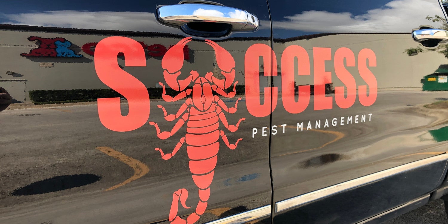 Vinyl Vehicle Lettering