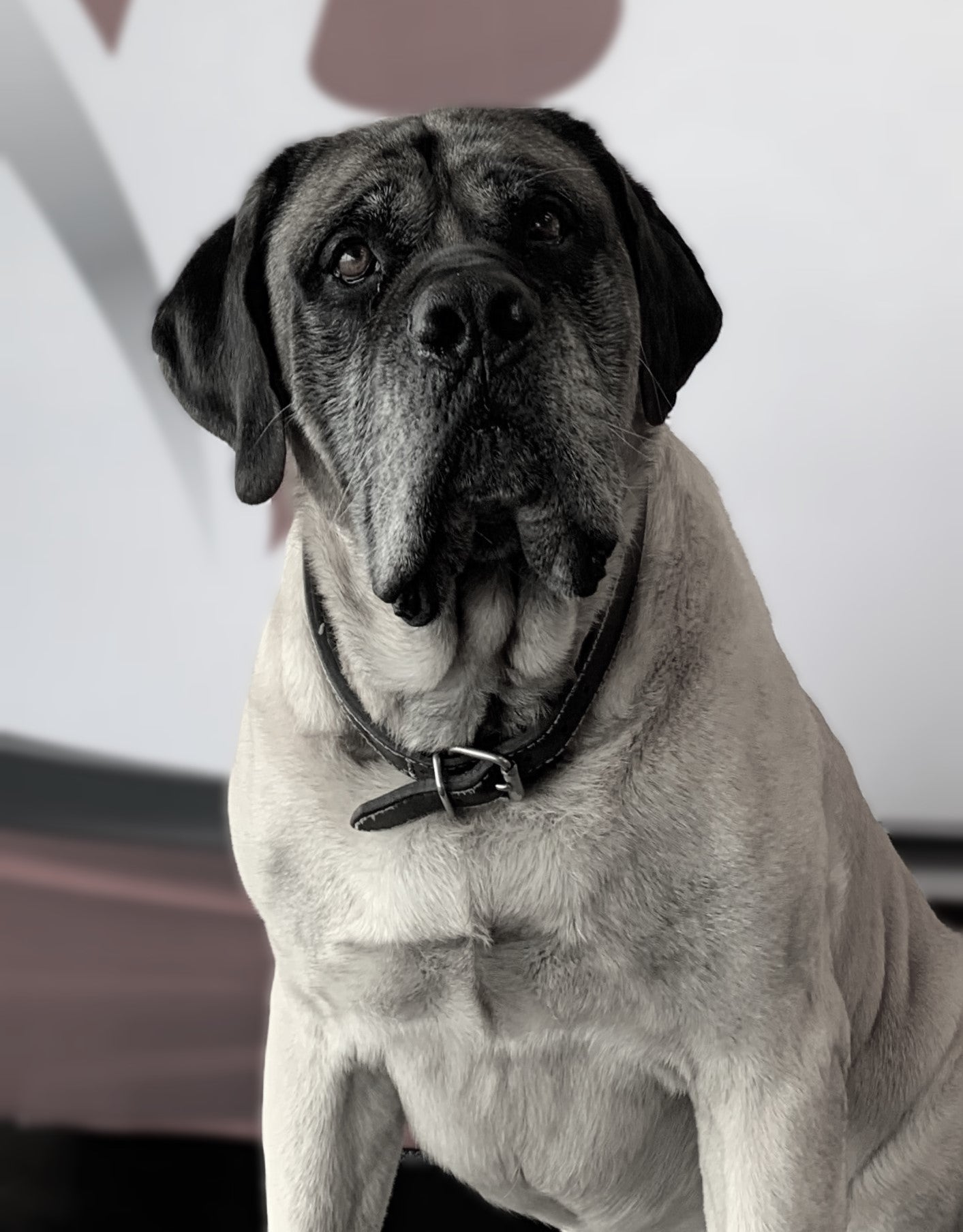 Henry Ford aka: Hank