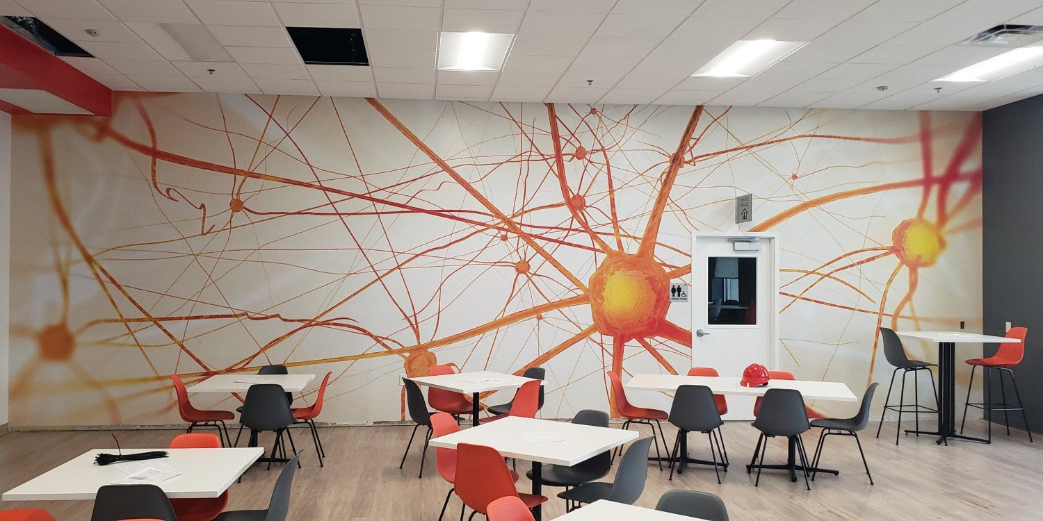 Custom Wall Murals