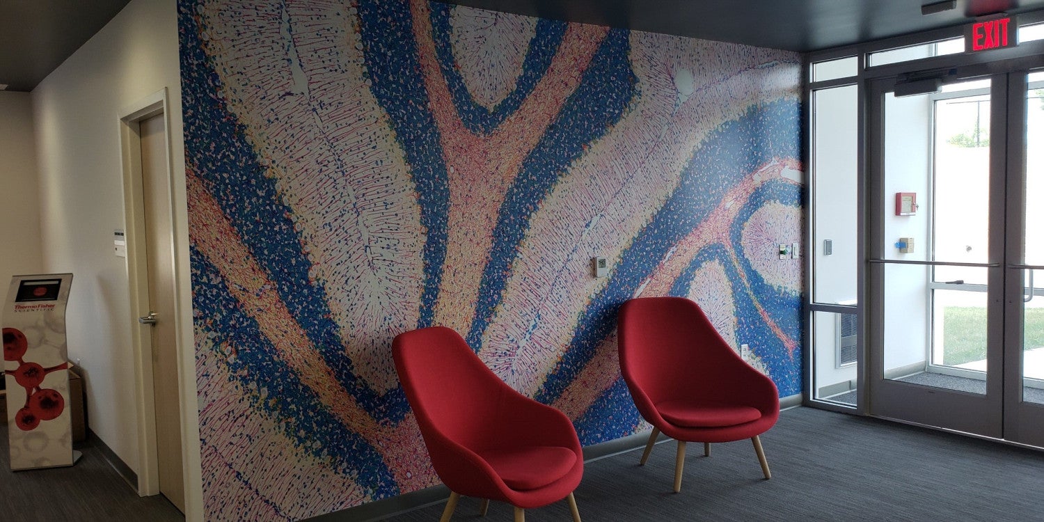 Wall Graphics
