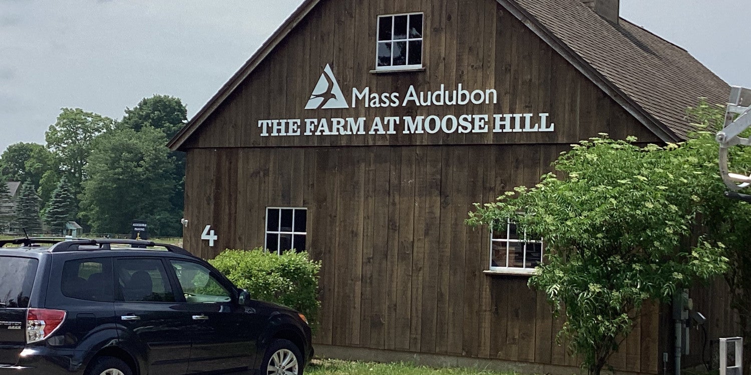 3D Signs & Lettering