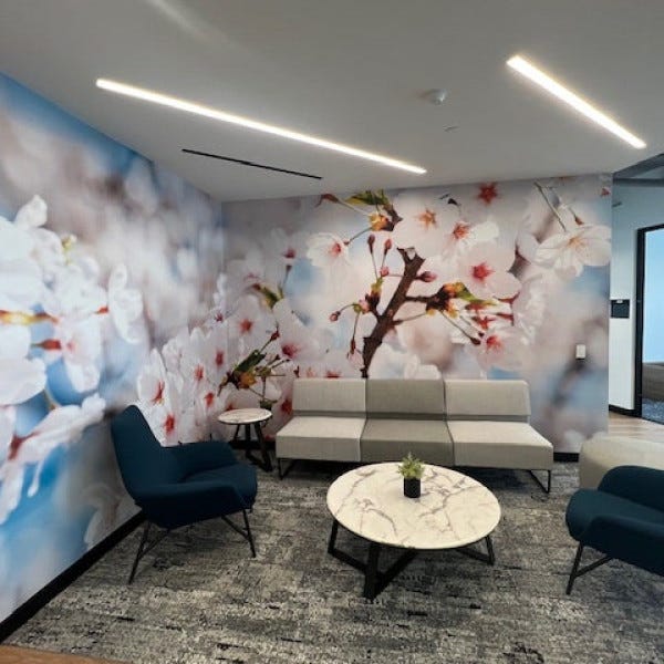 Wall Graphics VX