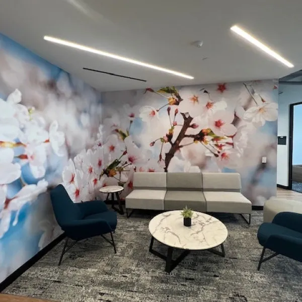 Wall Graphics VX