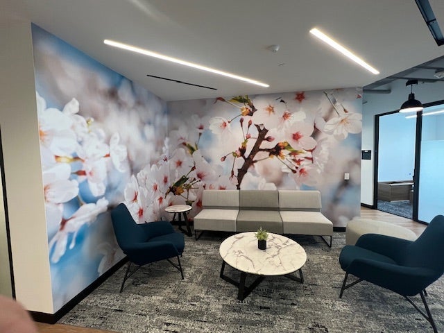 Wall Graphics in Fairfax