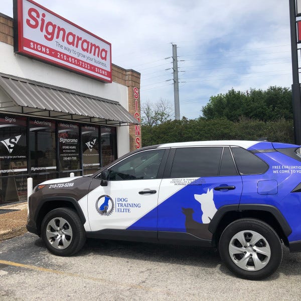 Vehicle Wrap