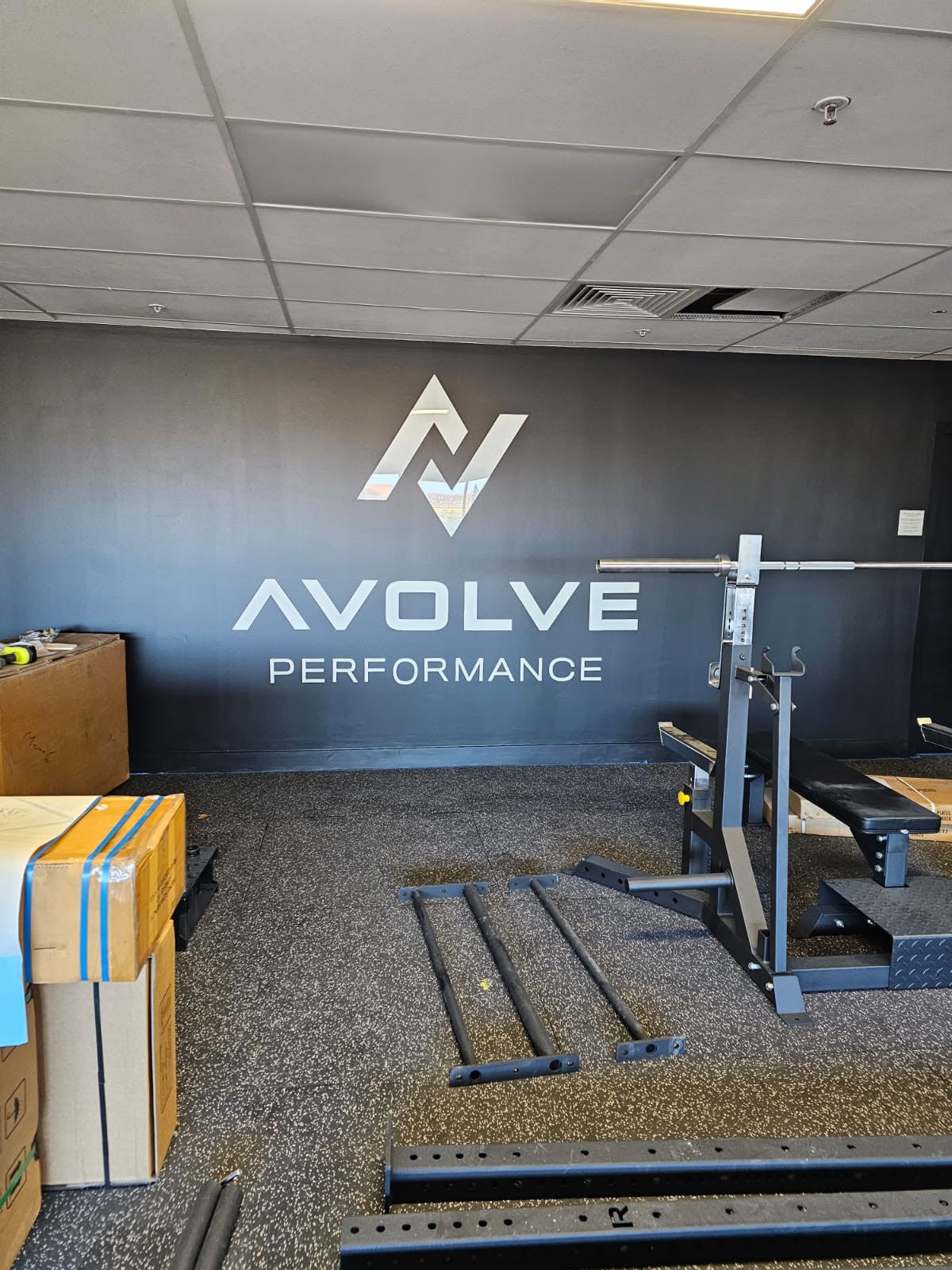 Avolve