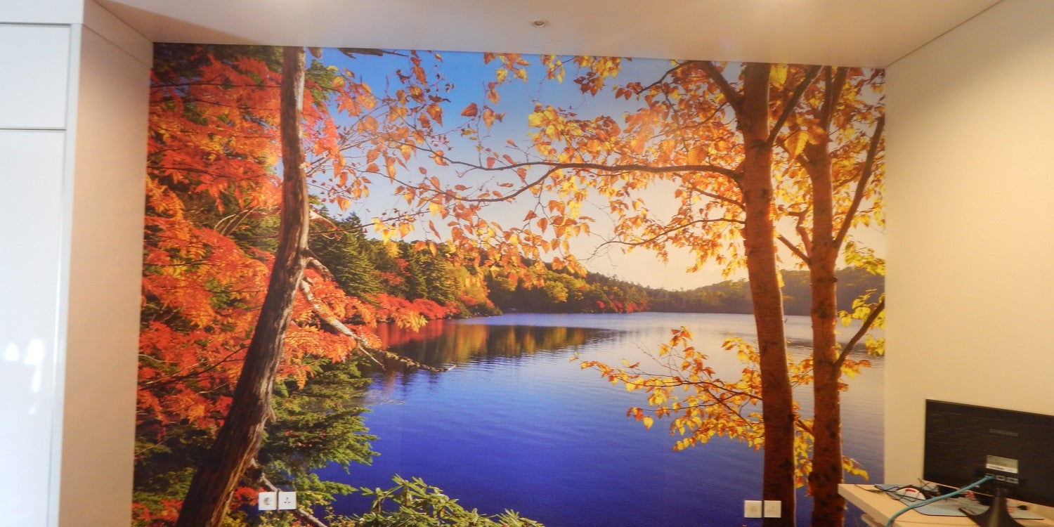 Wallpaper & Mural