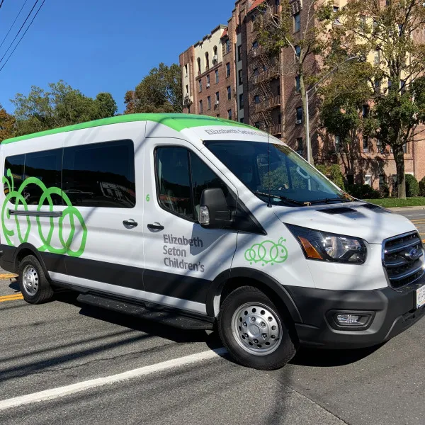 Vehicle Graphics