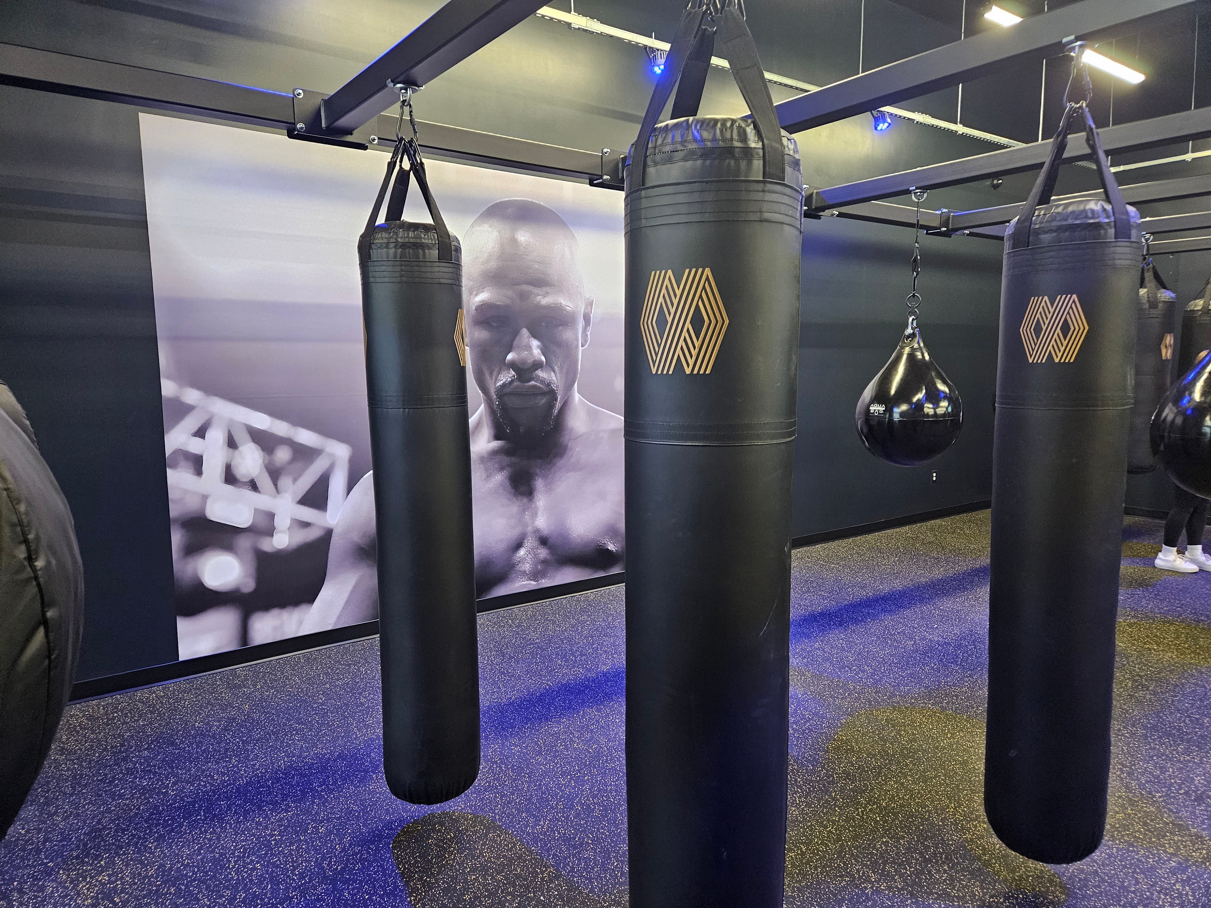 Large Wall Graphic • Store Front Window Perf with printed graphics • Lobby Sign • Reception Desk with Logo in Orem for Mayweather Boxing