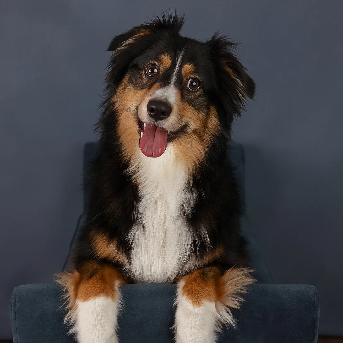 Bailey (Schliep)