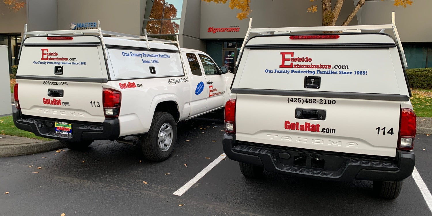 Fleet Vehicle Graphics