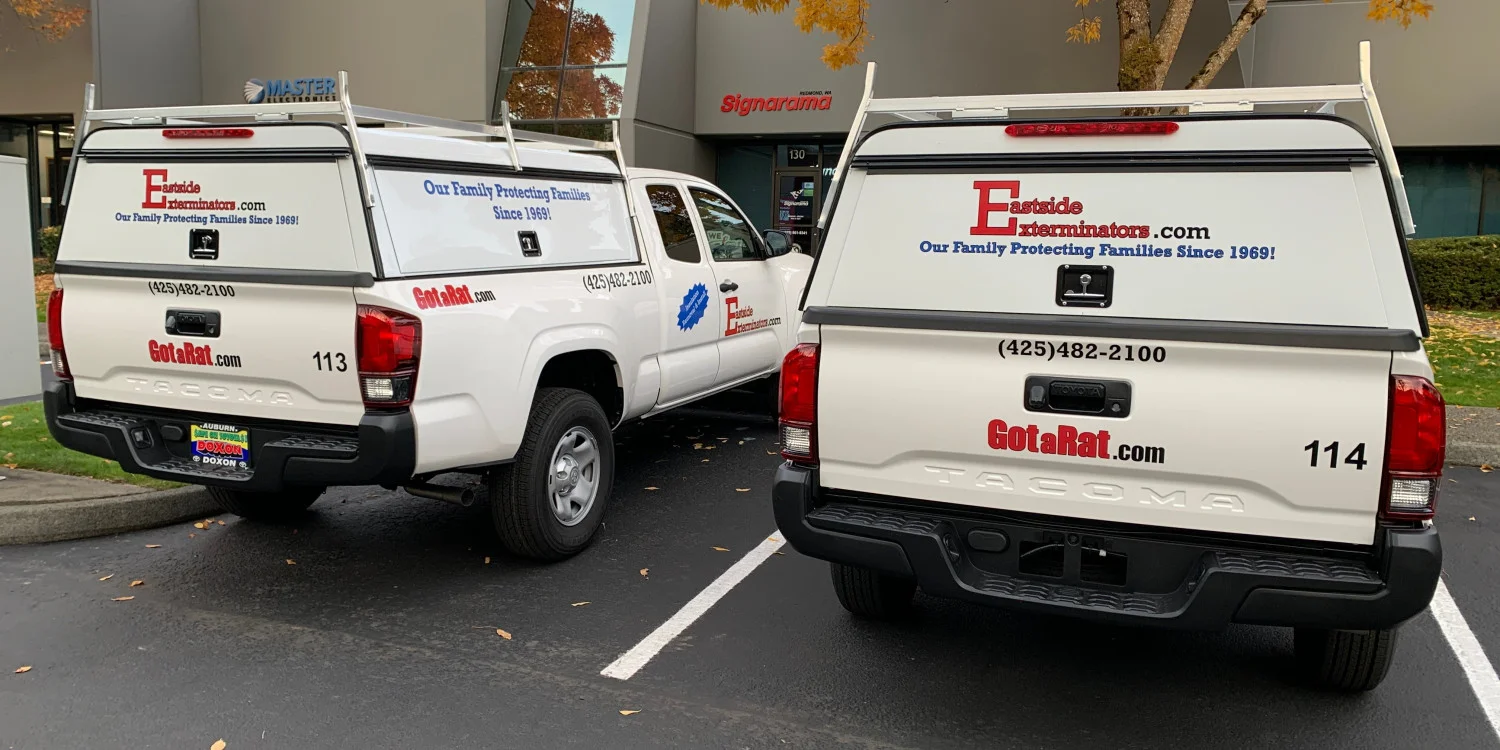 Fleet Vehicle Graphics