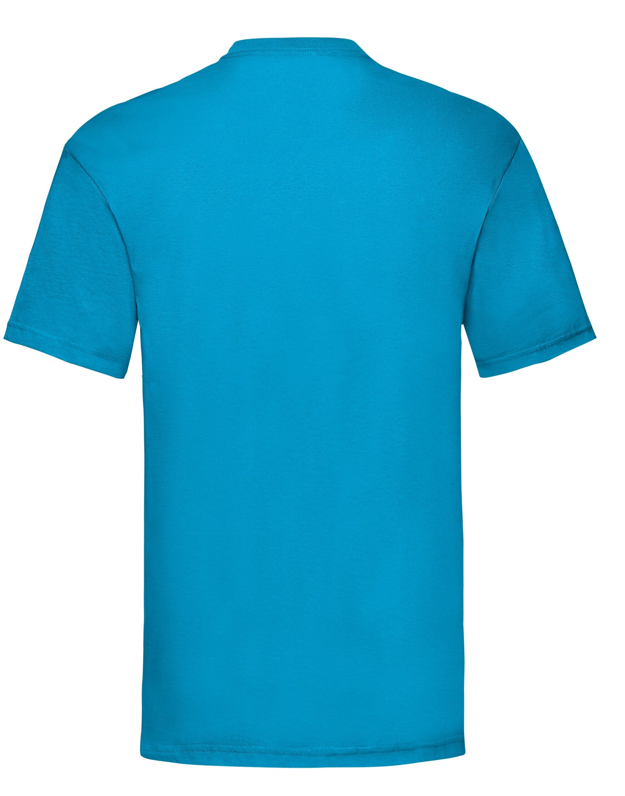 FOTL Mens Valueweight T