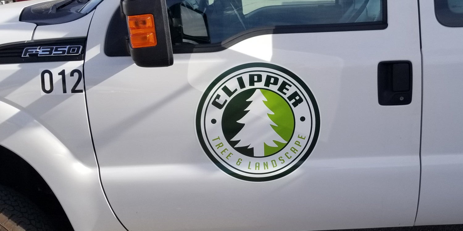 Vehicle Lettering