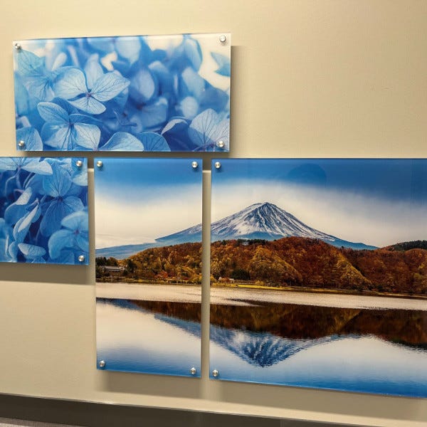 DAC_Acrylic Wall Art 2