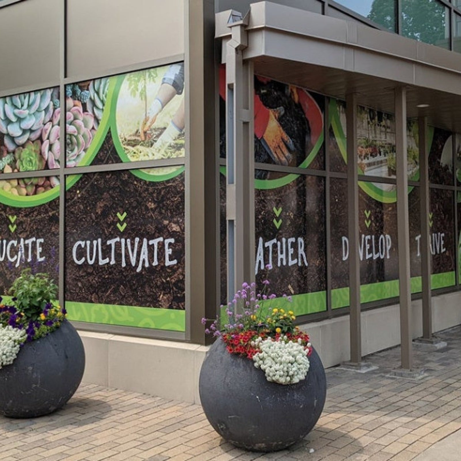 What Are the Benefits of Window Graphics for Your Business?