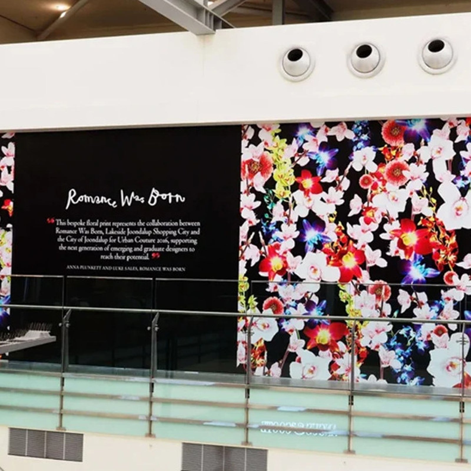 Wall Graphics in Edmonton, AB