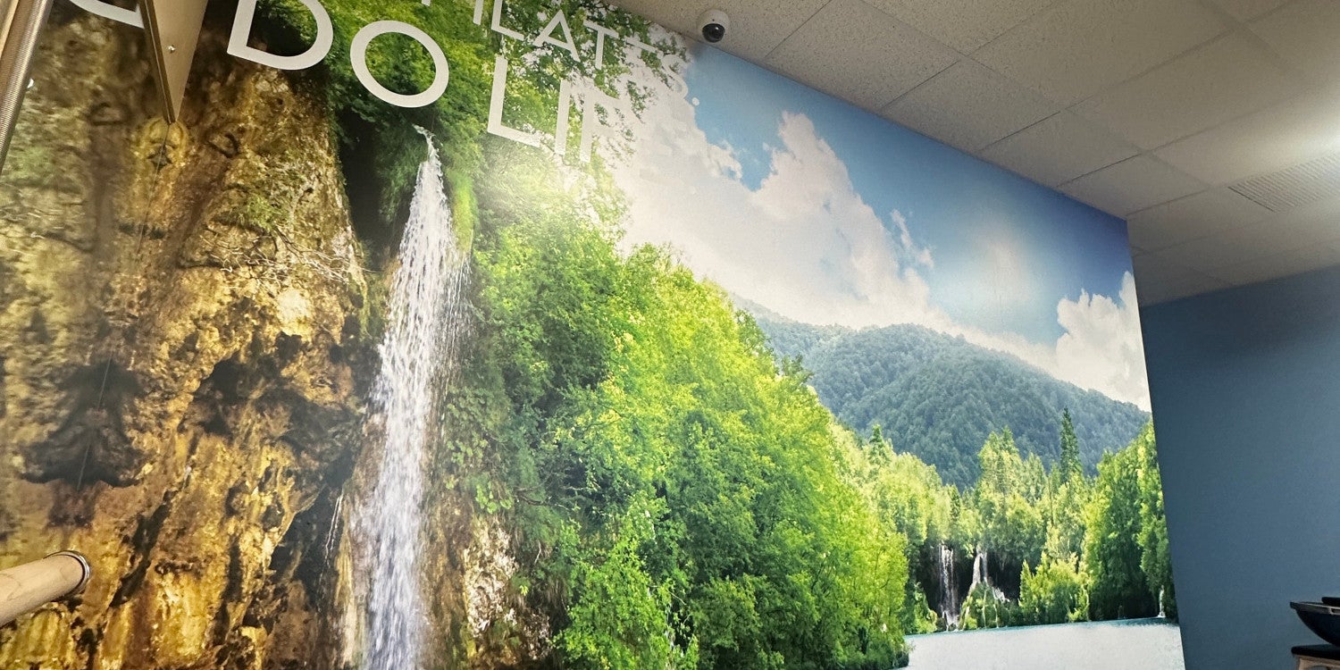 Custom Wall Murals