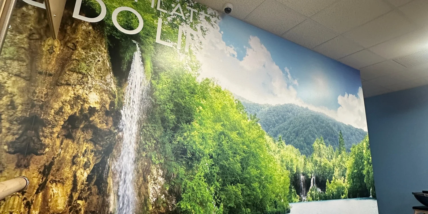 Custom Wall Murals