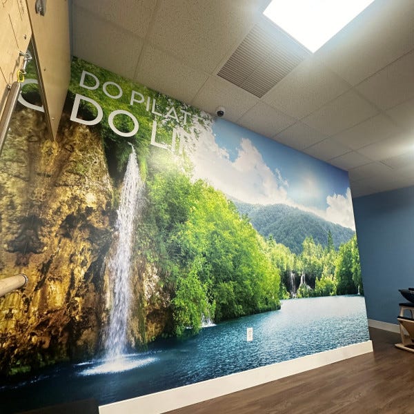 Club Pilates Wall Wrap #2
