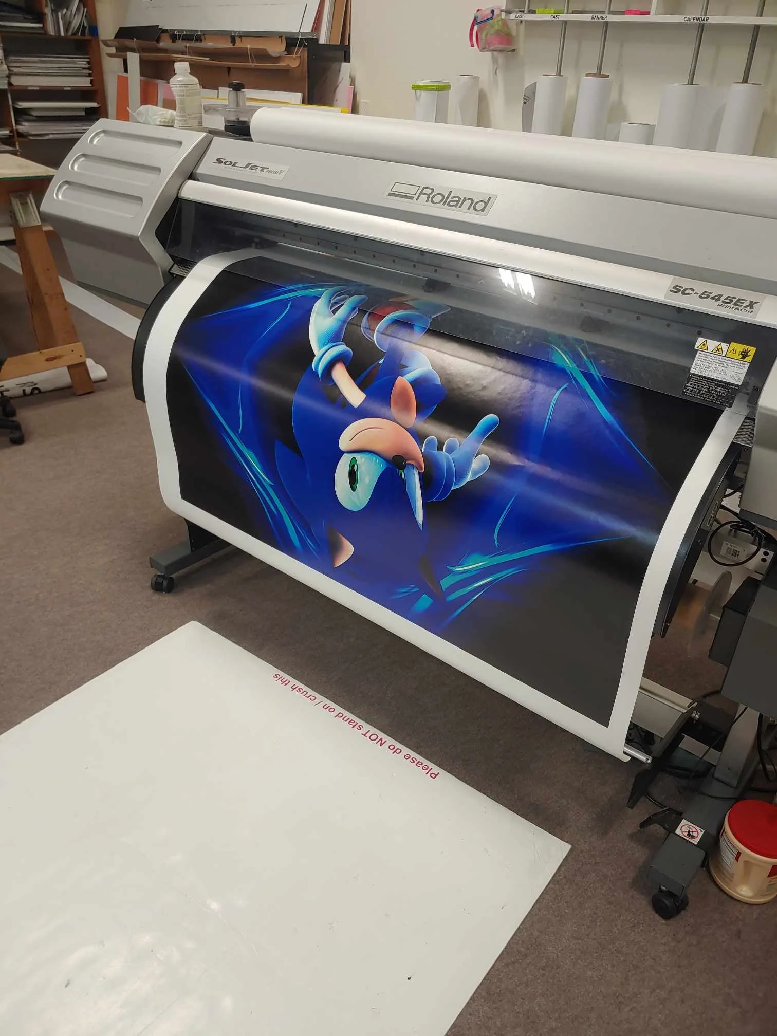 Sonic Wall Graphic for Child's Room in Bridgeville, DE