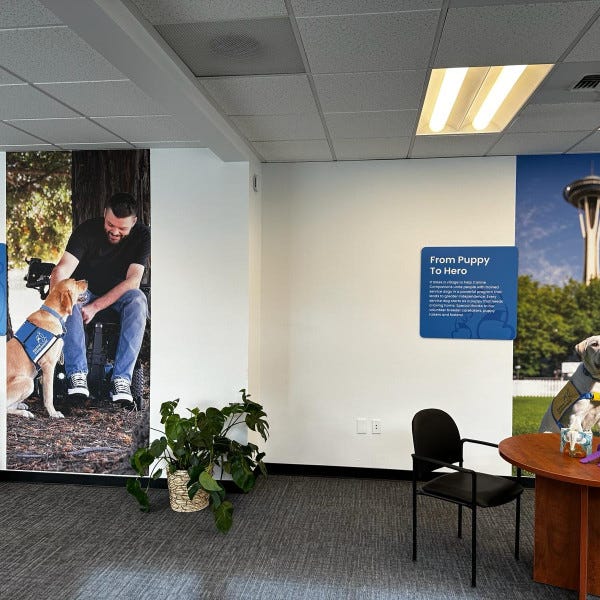 Wall graphics