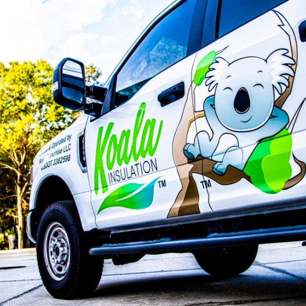 Koala Insulation's New Leader Aims for Franchise Phenomena Koala Insulation's New Leader Aims for Franchise Phenomena