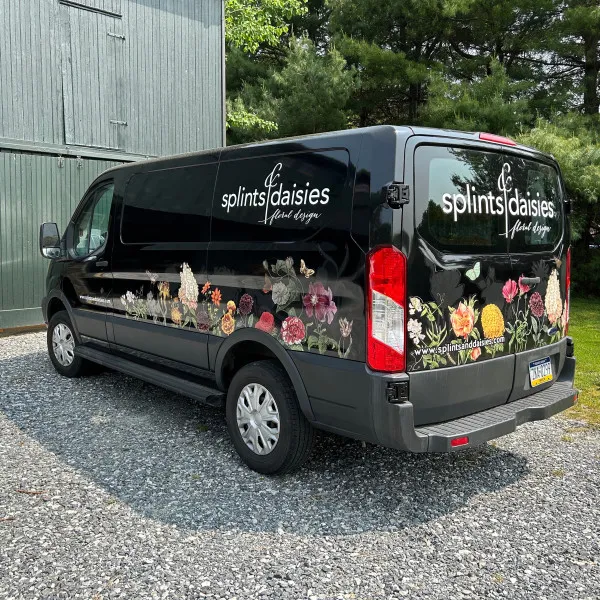 splintsanddaisies