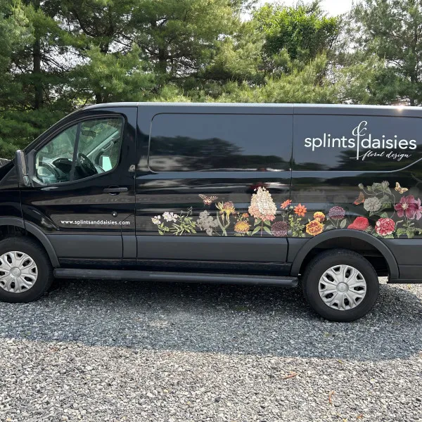 Splints and Daisies, Van Wrap, Lancaster PA