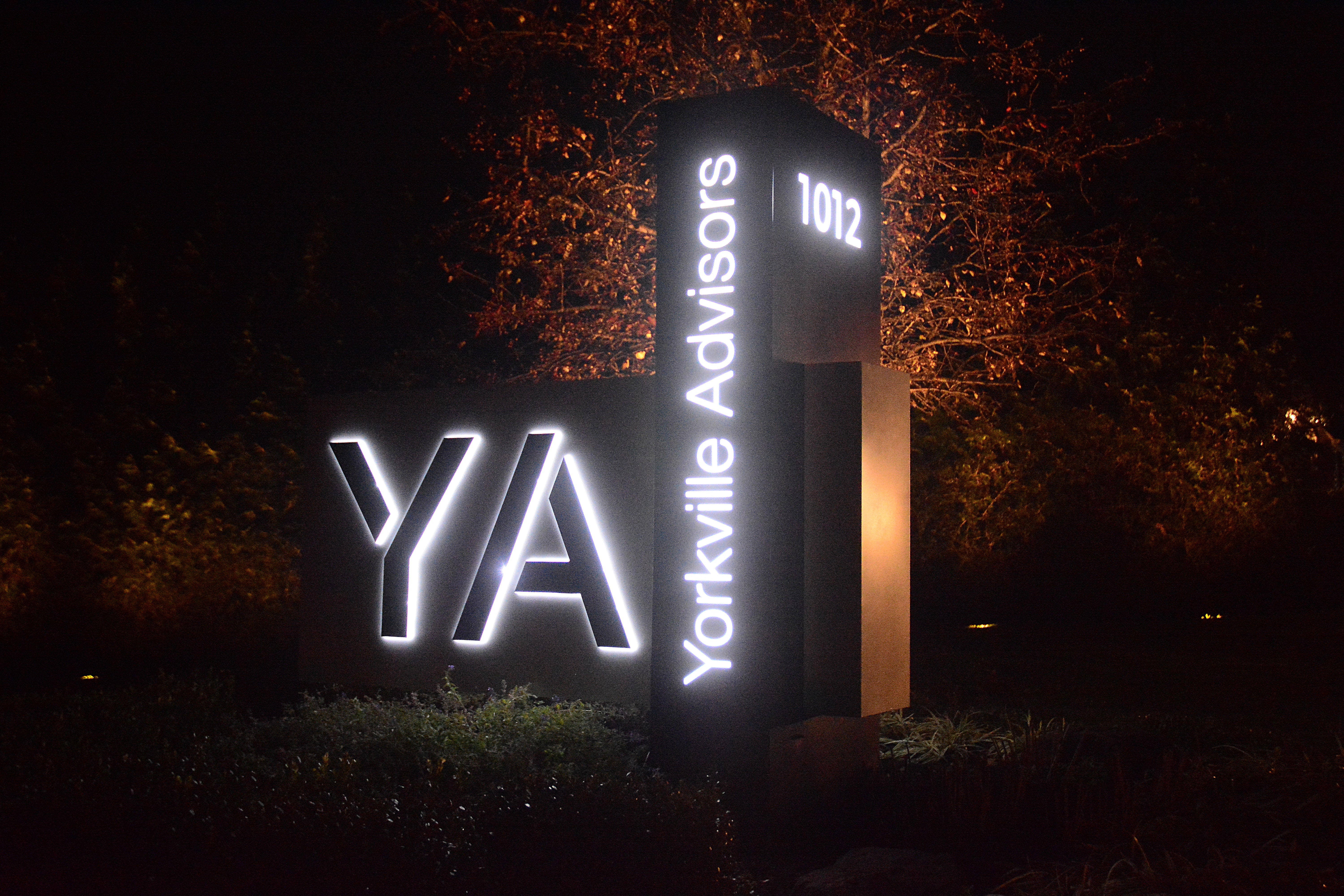 Brighten Up the Night with LED Signs