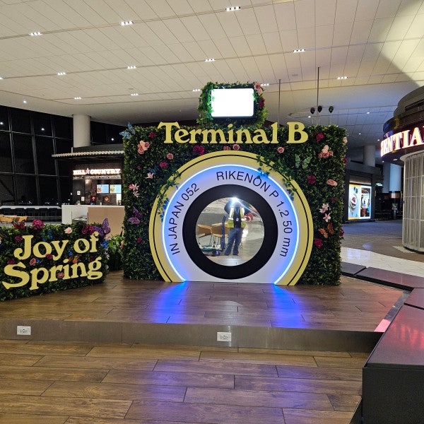 Large installation- Camera display