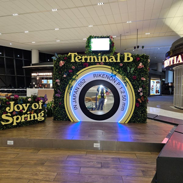 Large installation- Camera display