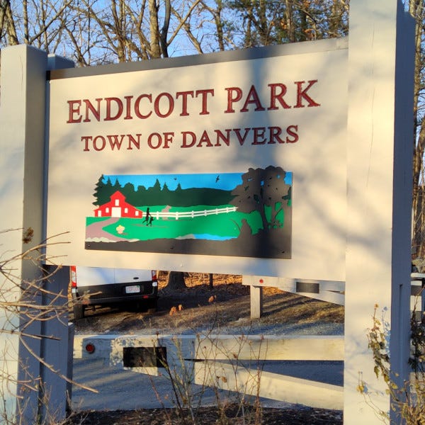Carved - Endicott Park