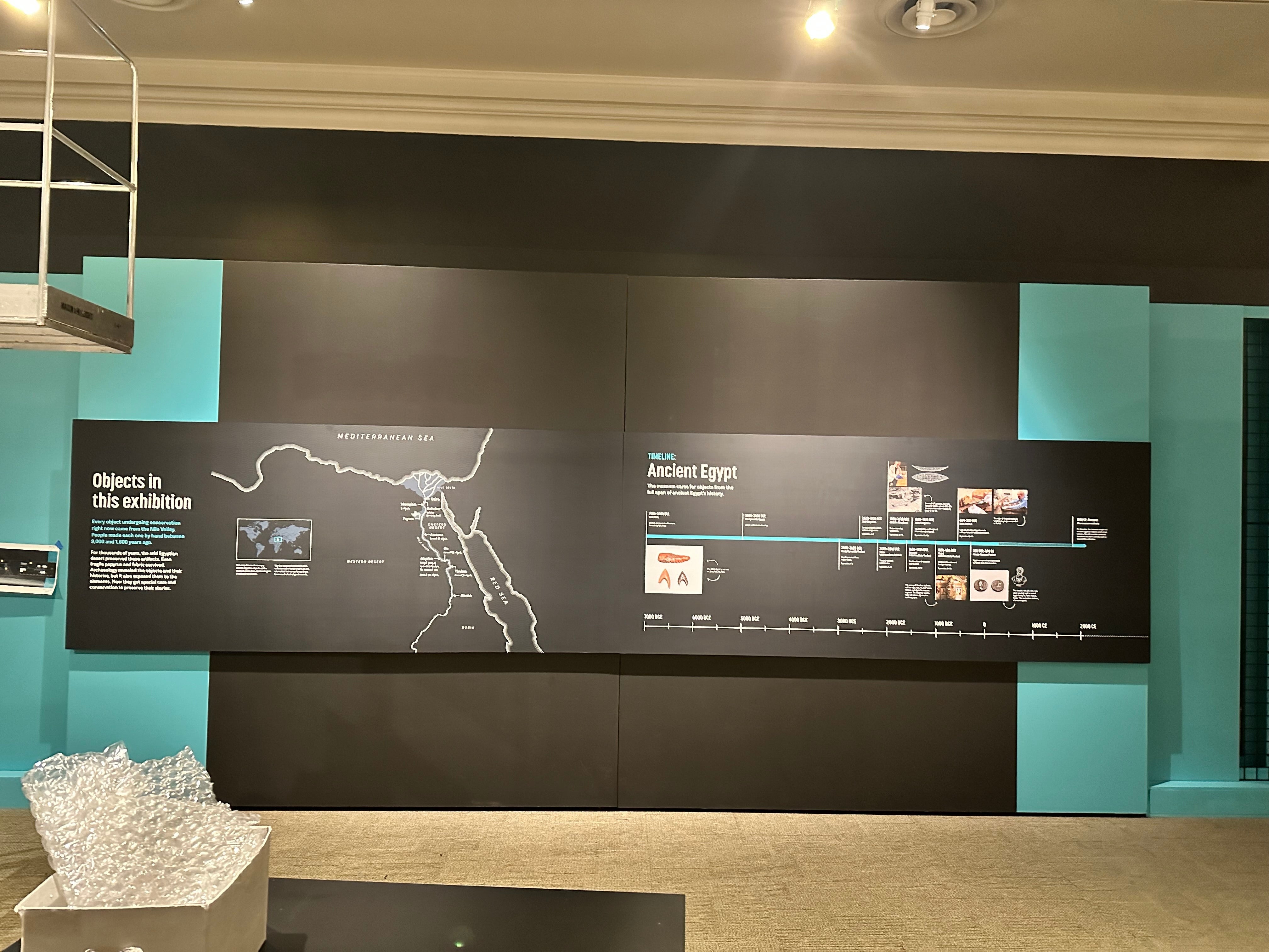 PVC, Wall Graphics, and more for Carnegie Museum of Natural History's new exhibit!