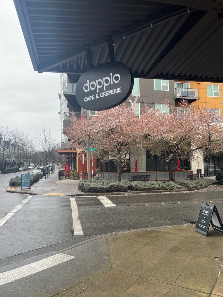 Custom backlit and blade signs for Doppio, artisan coffeehouse- Redmond, WA