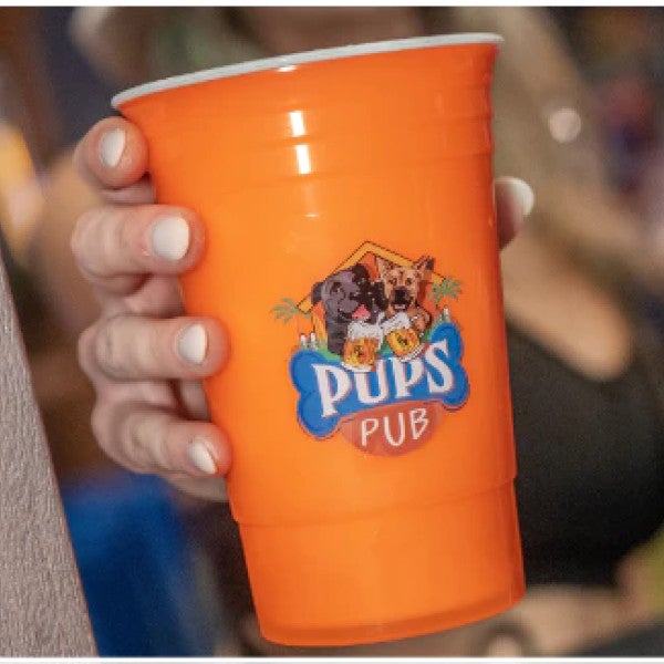 Unleash the Fun: Pups Pub Pioneers Dog-Friendly Bar Craze with Franchising Opportunity