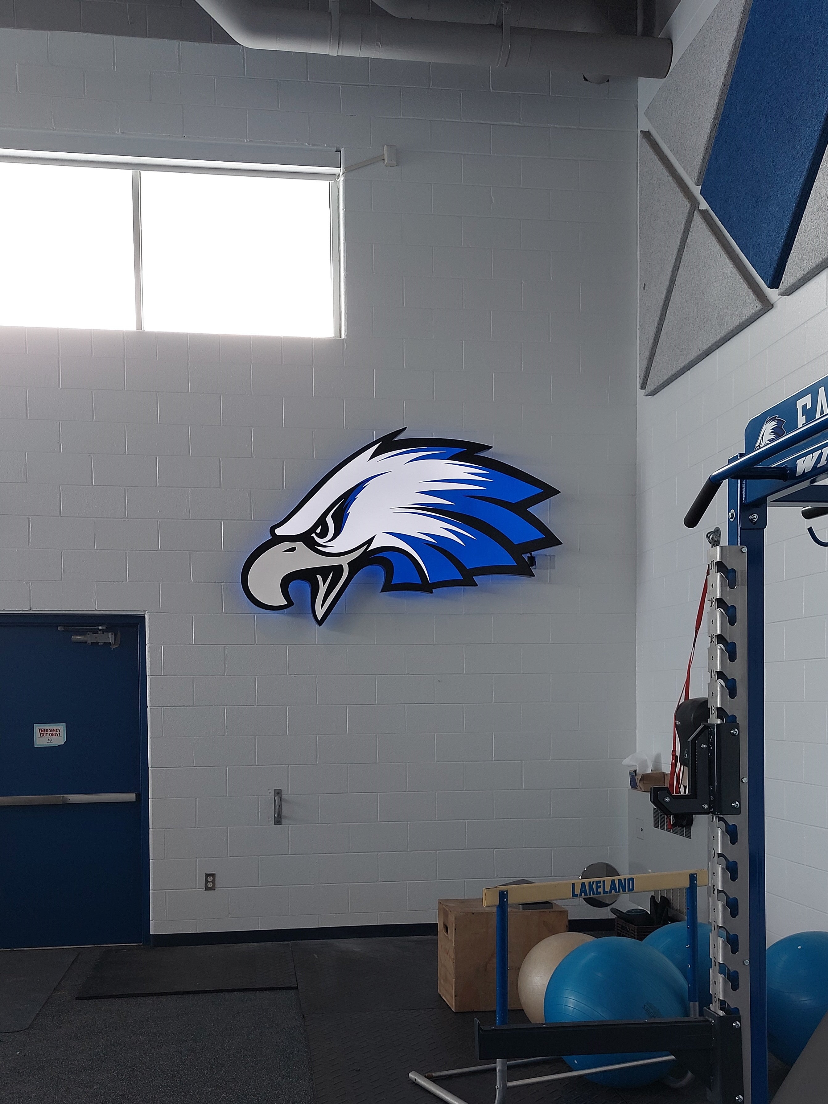 School Special Project Highlight: Lakeland HS Halo Lit Eagle Head