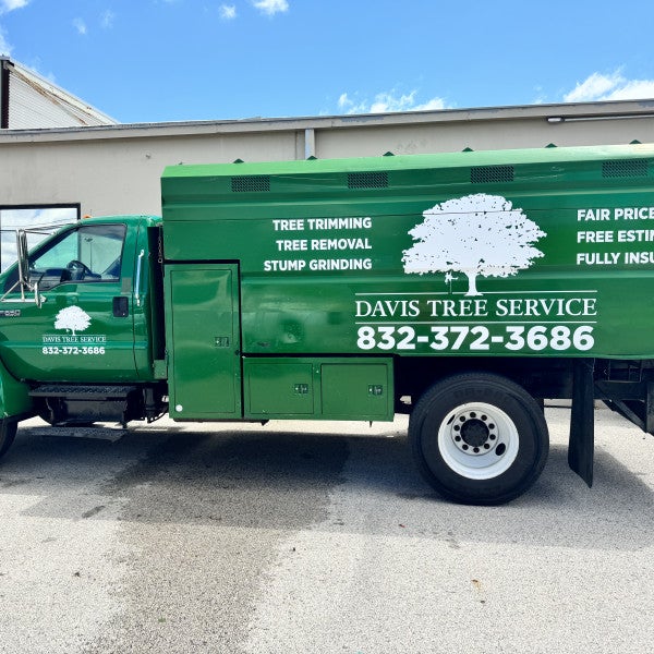 Davis Tree Service - Conroe, TX