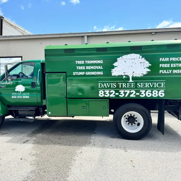 Davis Tree Service - Conroe, TX