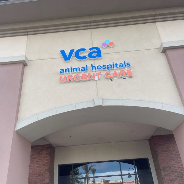 VCA Animal Hospital building sign backlight, 3d sign by Midtown Signarama Phoenix, 602.650.1150, www.MidtownSignsAZ.com