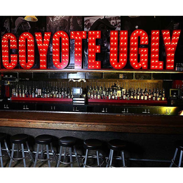 Coyote Ugly: From Dream to Global Sensation Coyote Ugly: From Dream to Global Sensation
