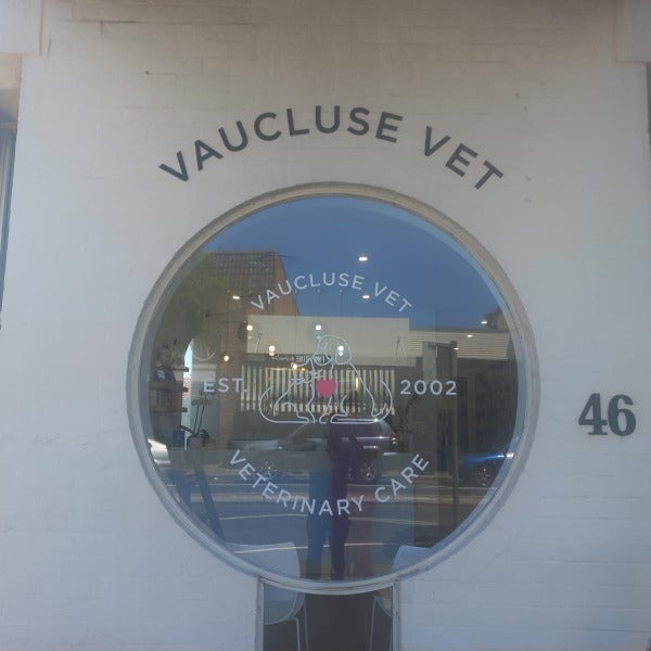 Window Graphics - Bondi Junction