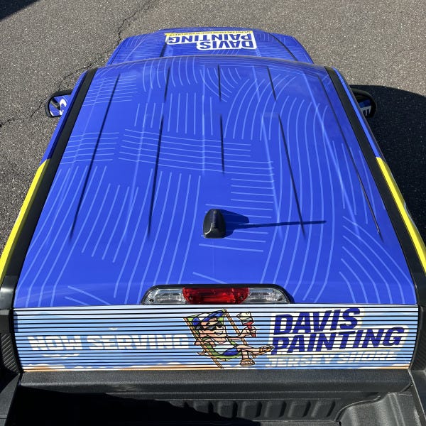 Davis Painting Maverick #13 27473 (20)