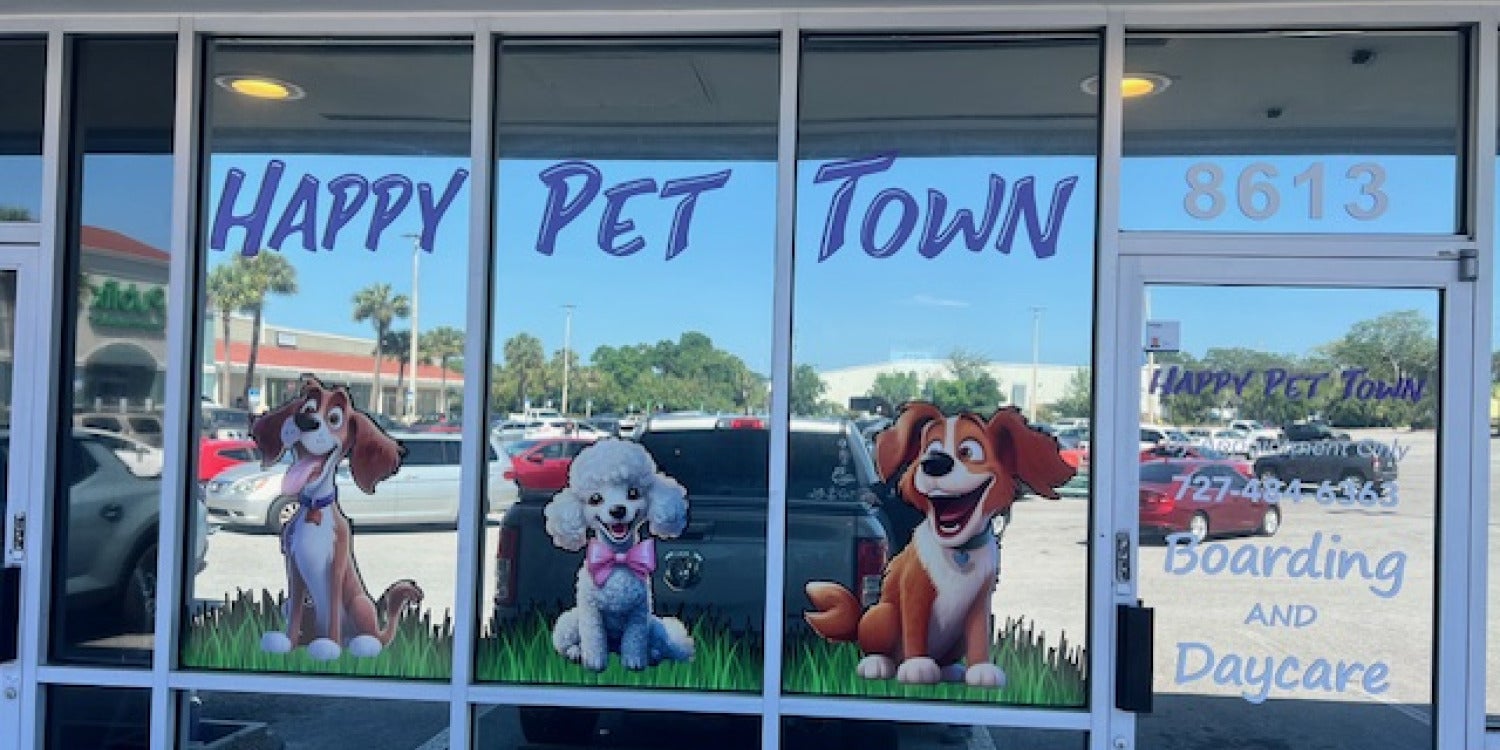 Window Graphics