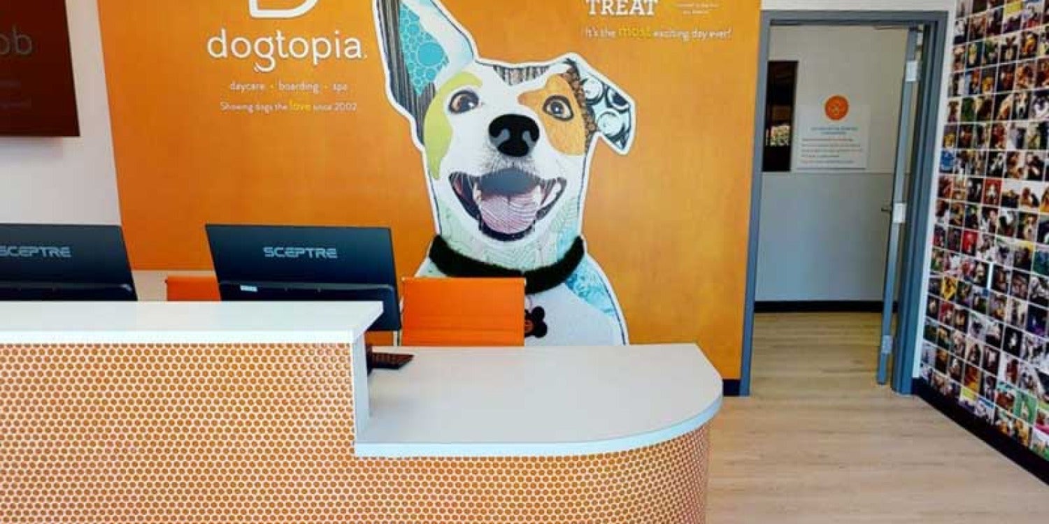 Dogtopia's Million Dollar Paws for Veterans